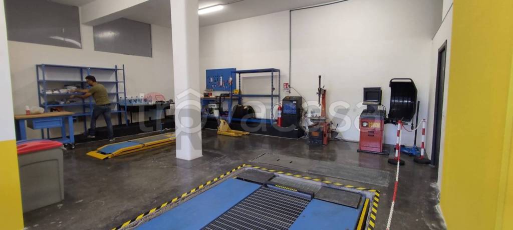 immagine annuncio 5 di 15