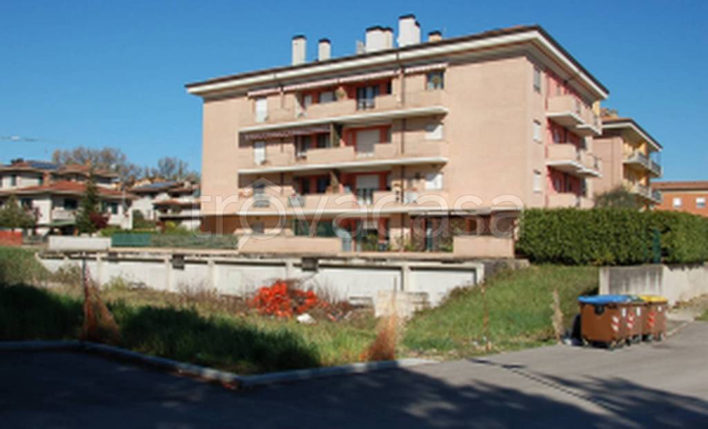 immagine annuncio 9 di 11