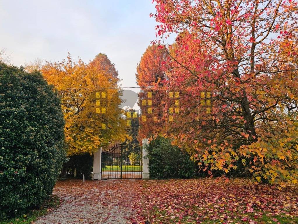 immagine annuncio 11 di 12