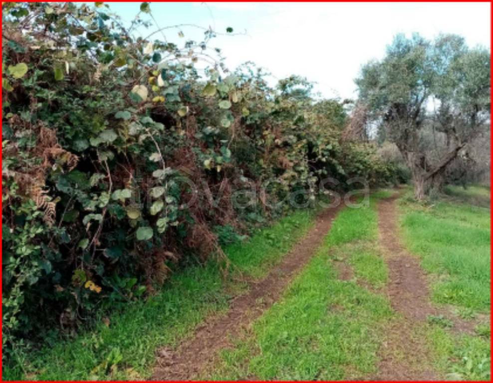 immagine annuncio 4 di 14