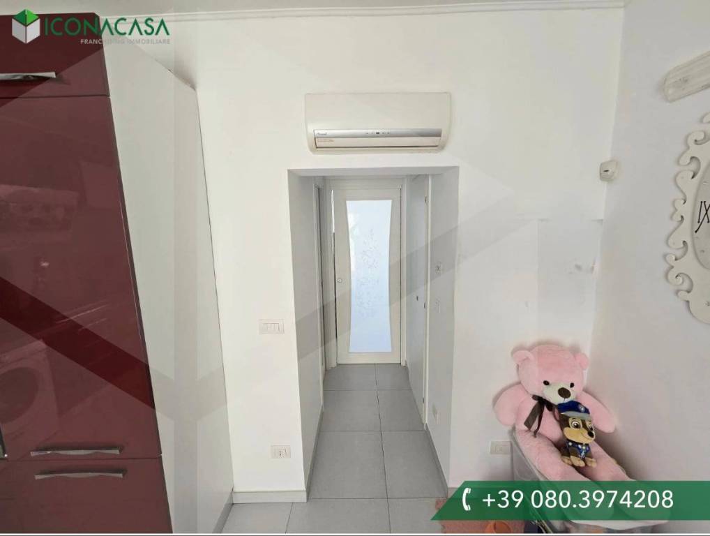 immagine annuncio 5 di 12