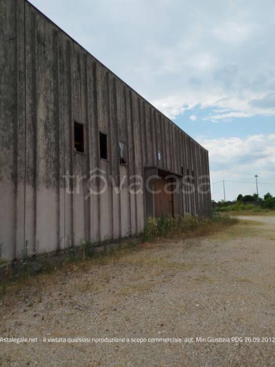 immagine annuncio 2 di 7