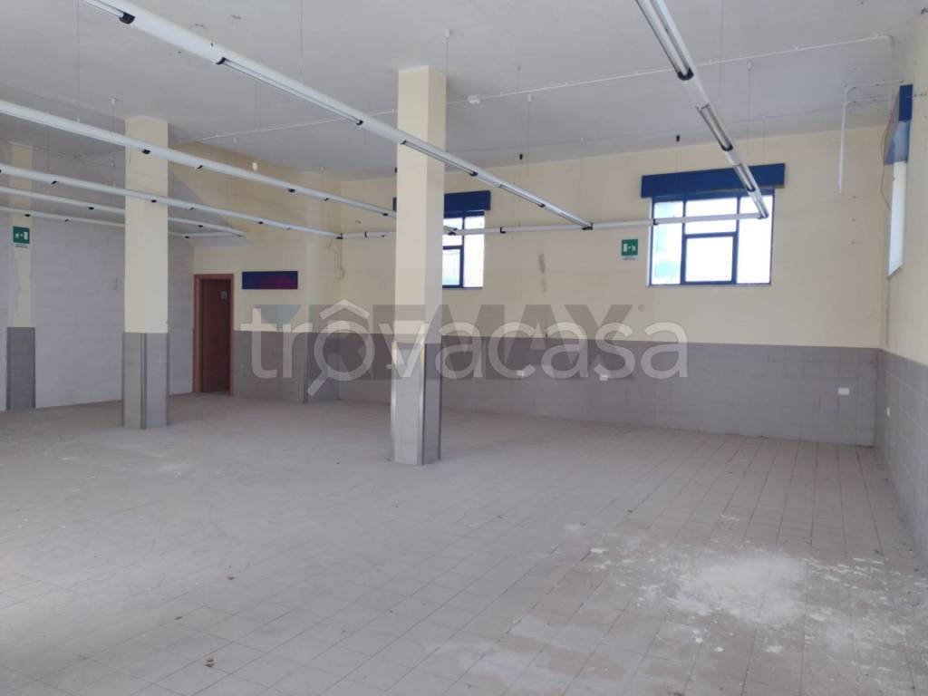 immagine annuncio 5 di 14