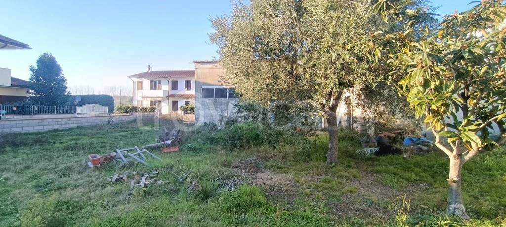 immagine annuncio 2 di 9