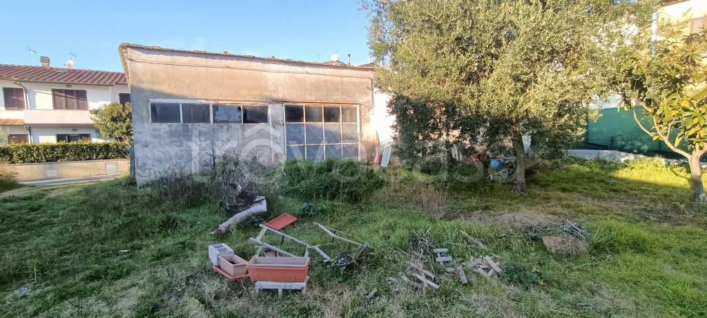 immagine annuncio 5 di 9