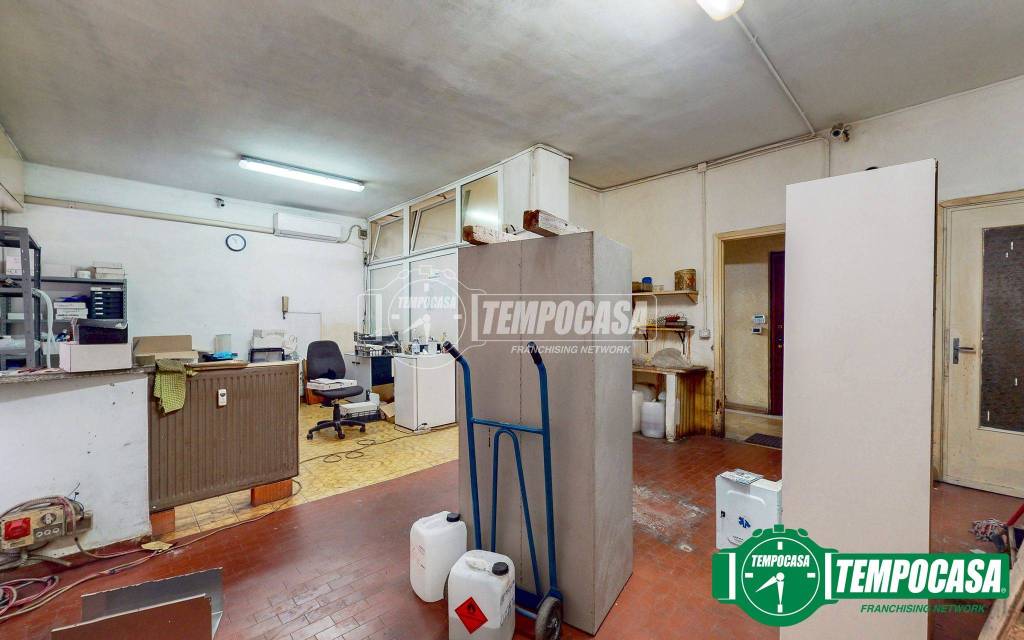 immagine annuncio 3 di 10