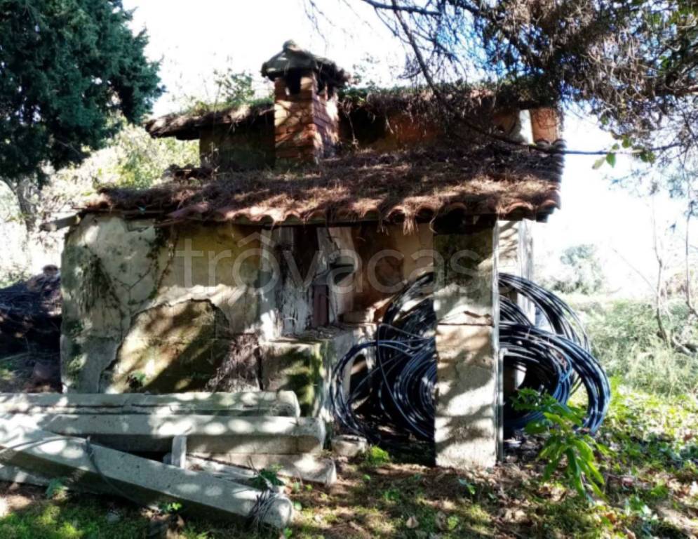 immagine annuncio 5 di 13