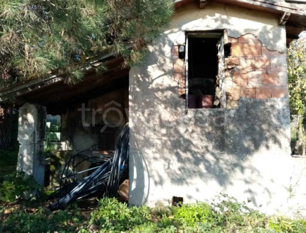 immagine annuncio 6 di 13