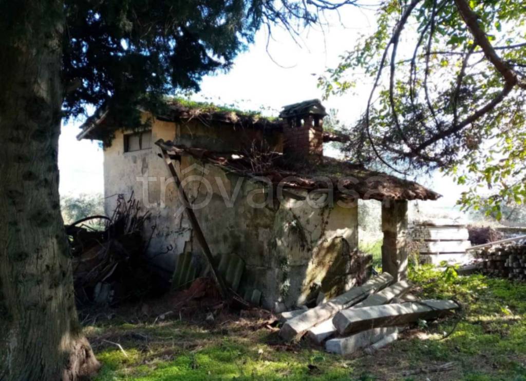 immagine annuncio 7 di 13