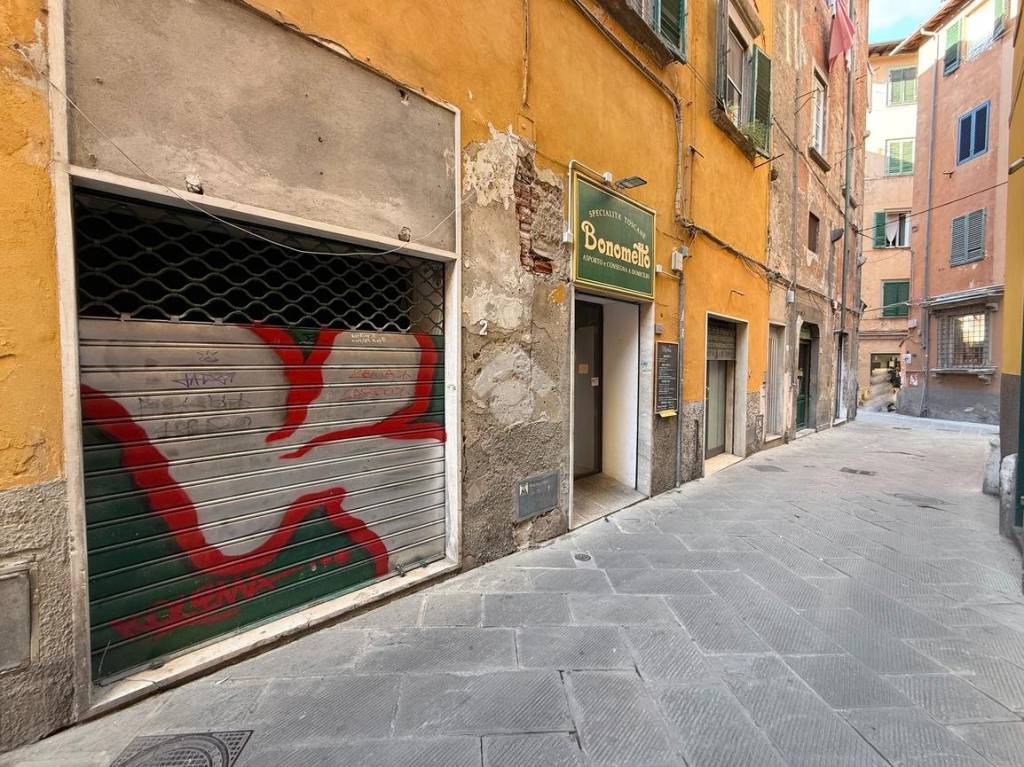 immagine annuncio 5 di 6