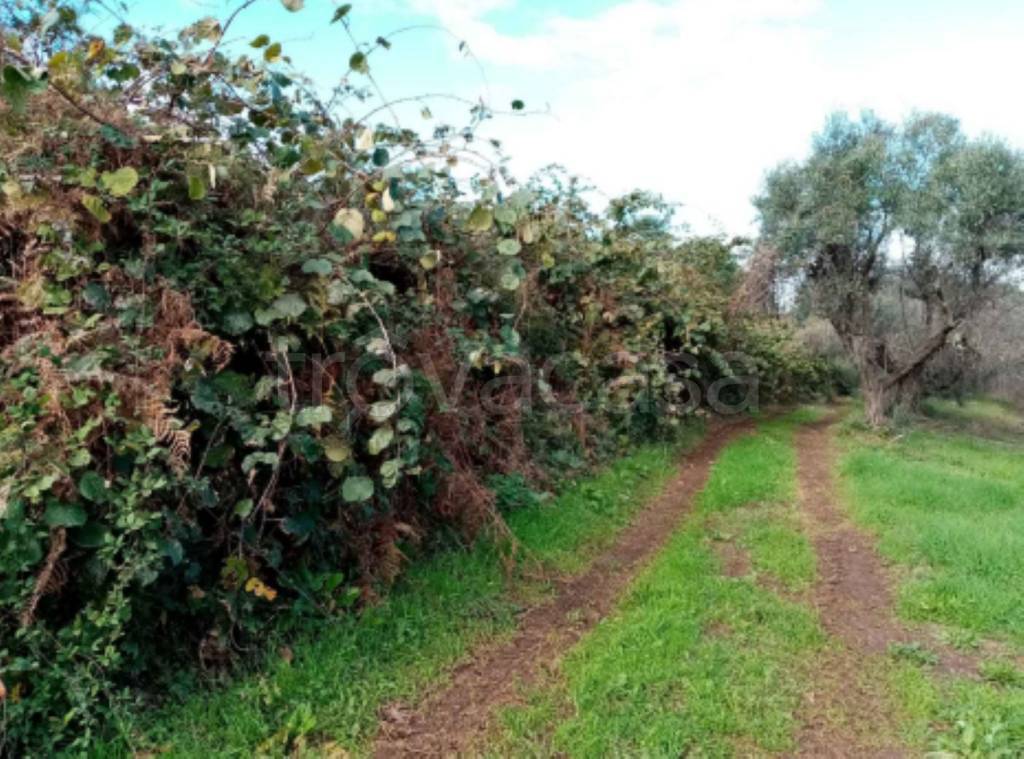 immagine annuncio 11 di 13