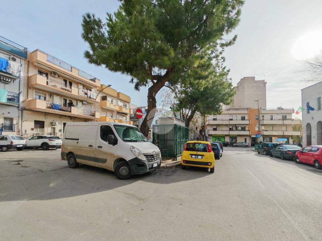 immagine annuncio 11 di 14