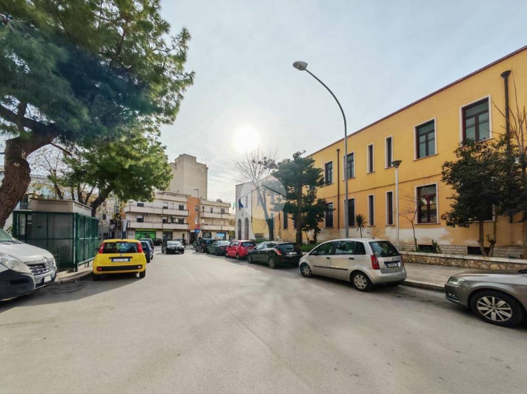 immagine annuncio 12 di 14