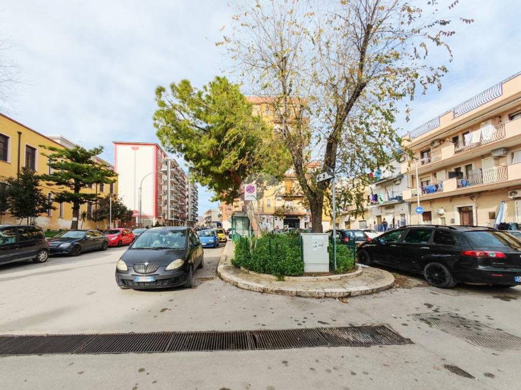 immagine annuncio 13 di 14