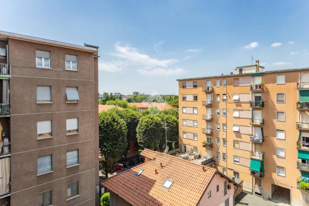 immagine annuncio 9 di 14