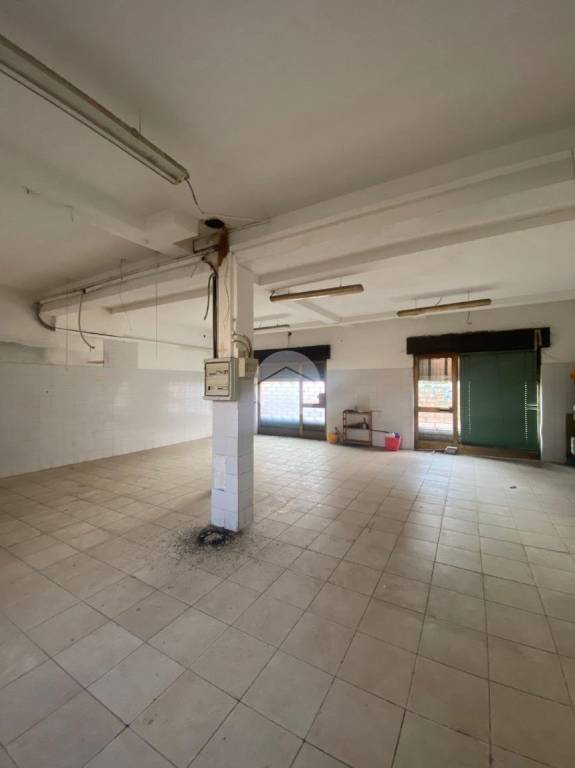 immagine annuncio 3 di 14