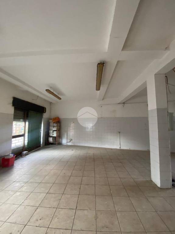 immagine annuncio 9 di 14