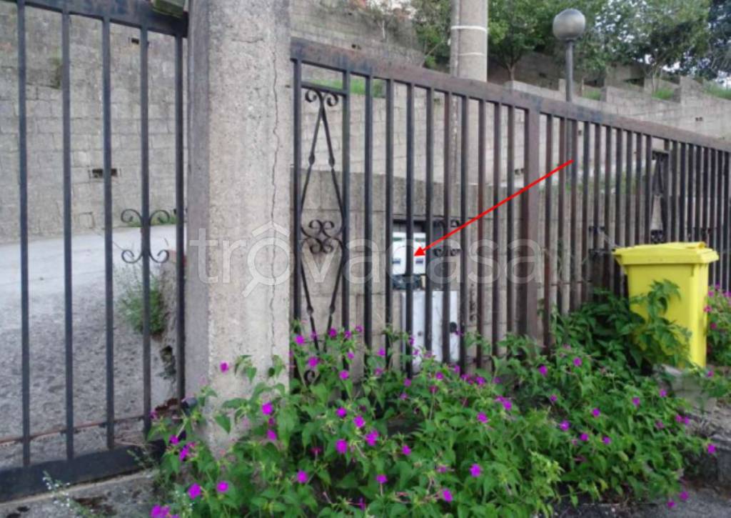 immagine annuncio 13 di 14