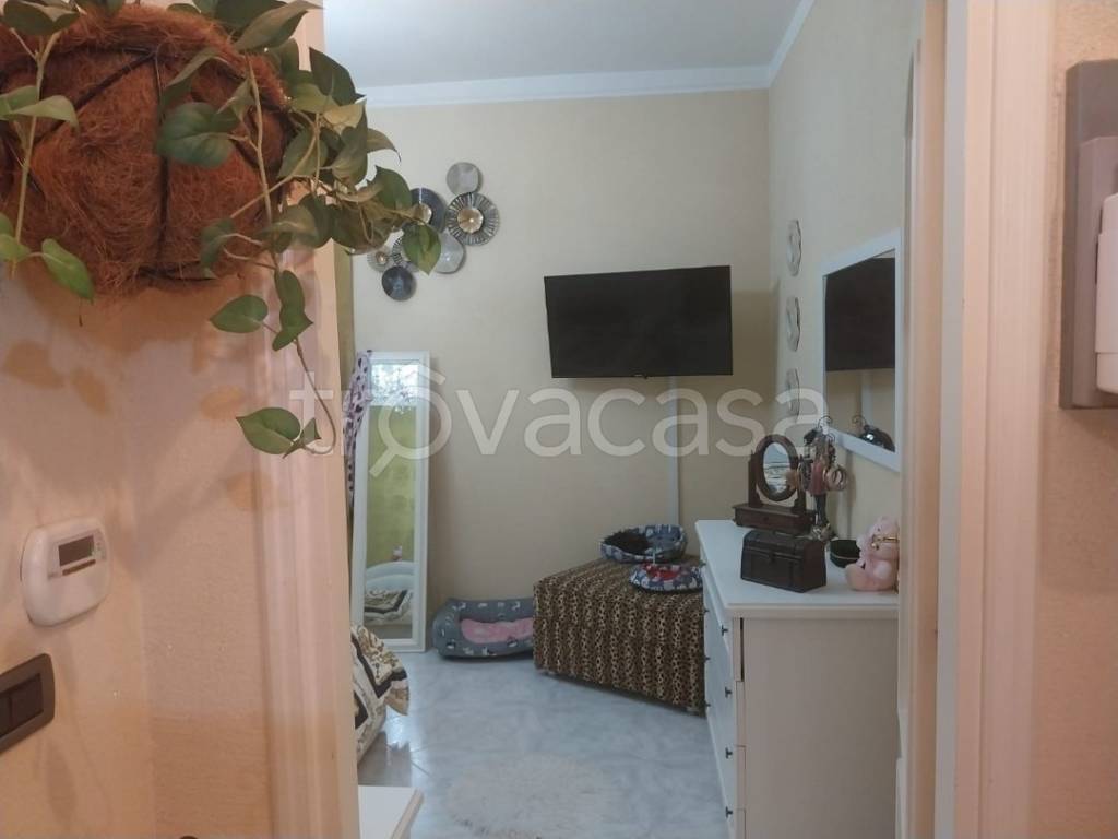 immagine annuncio 2 di 14