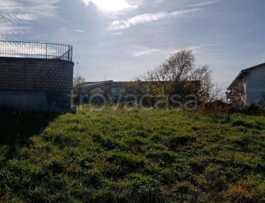 immagine annuncio 6 di 11