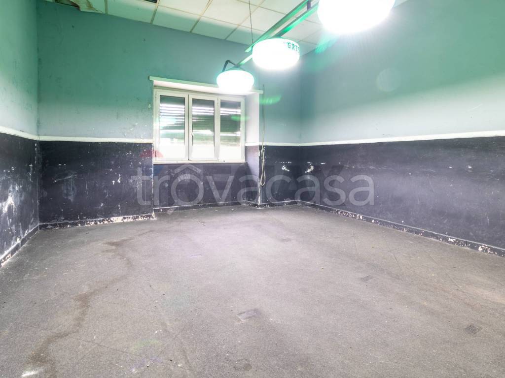 immagine annuncio 5 di 9