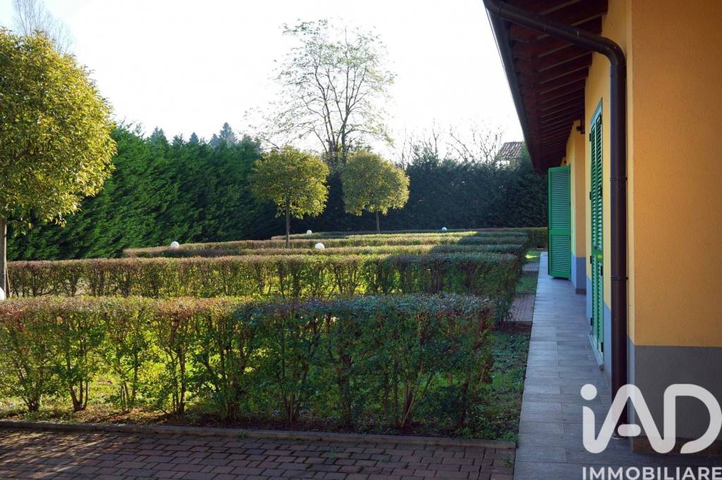 immagine annuncio 10 di 14