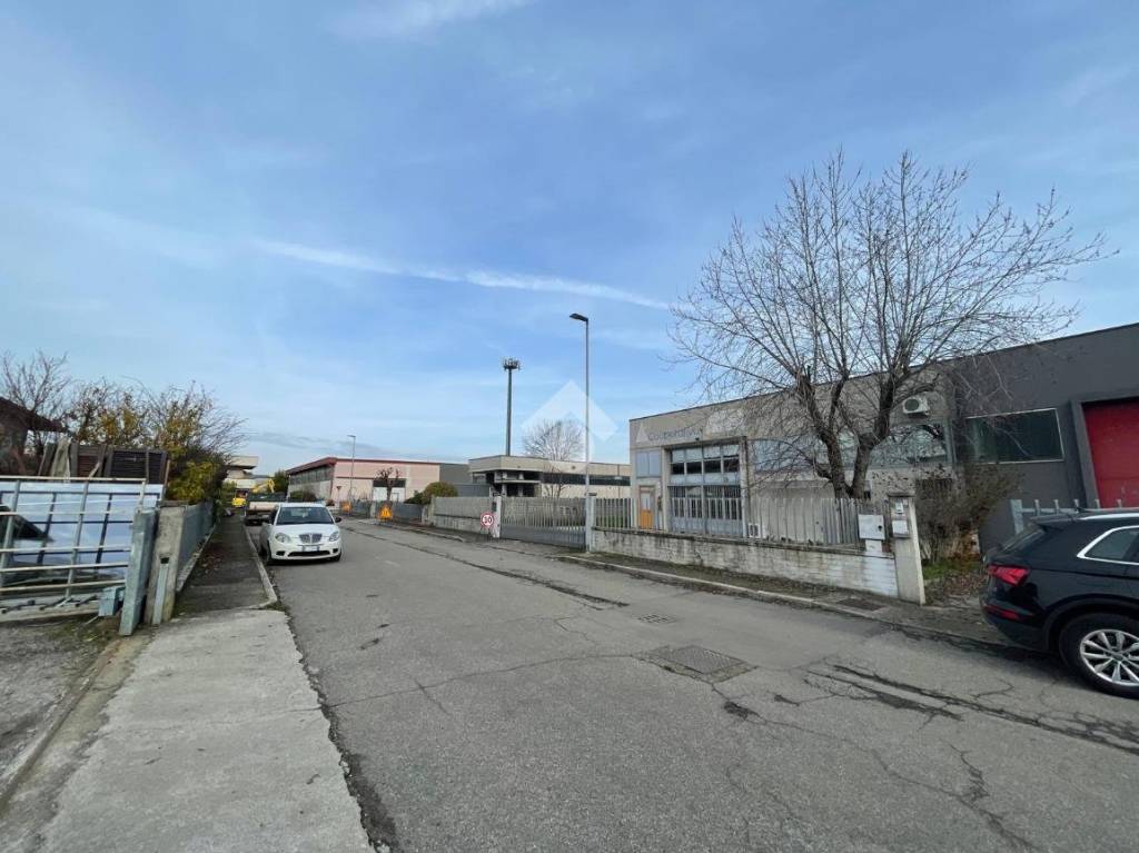 immagine annuncio 8 di 15