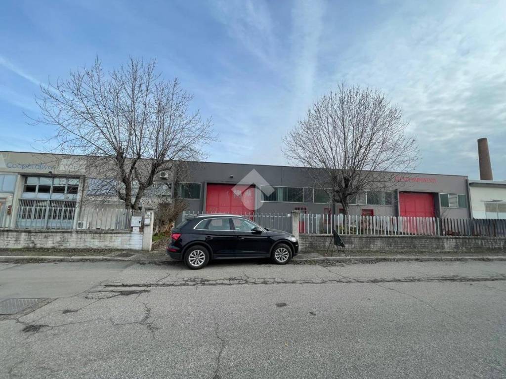 immagine annuncio 11 di 15