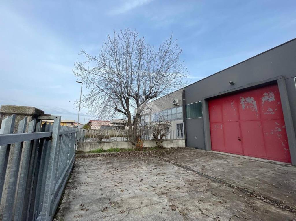 immagine annuncio 12 di 15