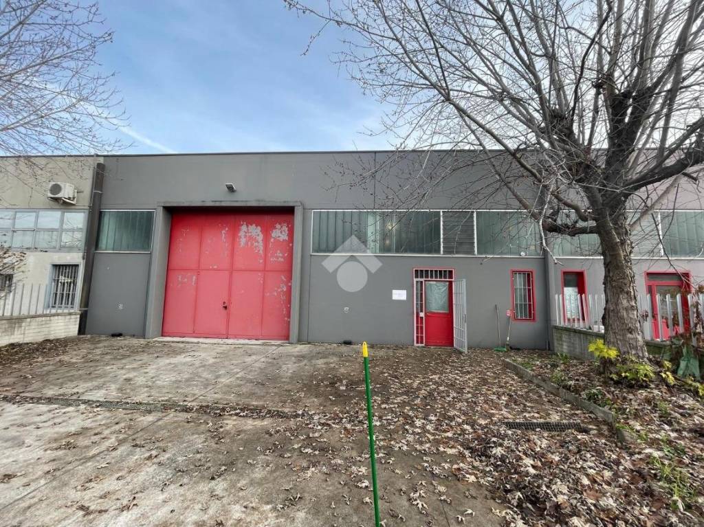 immagine annuncio 13 di 15