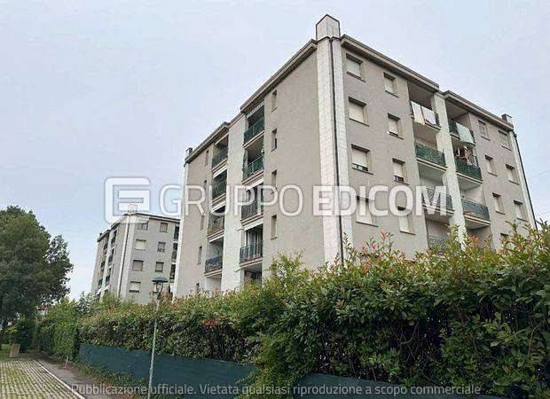 immagine annuncio 4 di 12