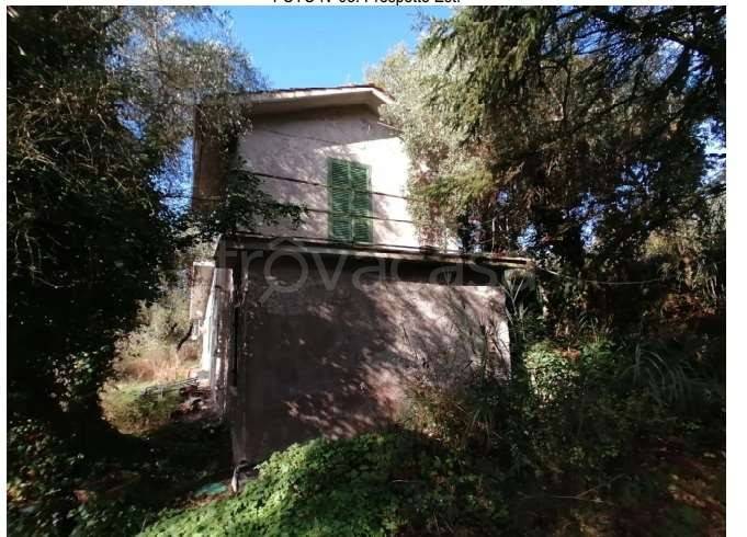 immagine annuncio 2 di 3