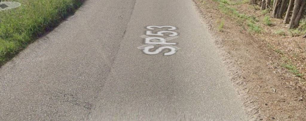 immagine annuncio 3 di 11