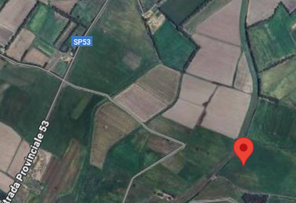 immagine annuncio 5 di 11