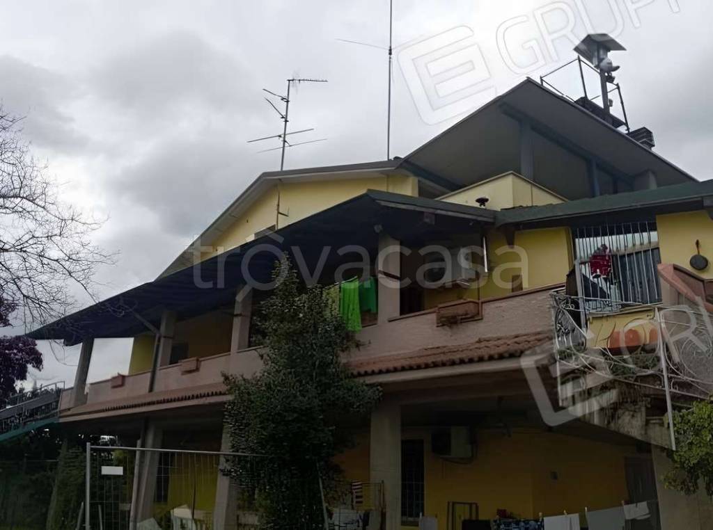 immagine annuncio 1 di 11