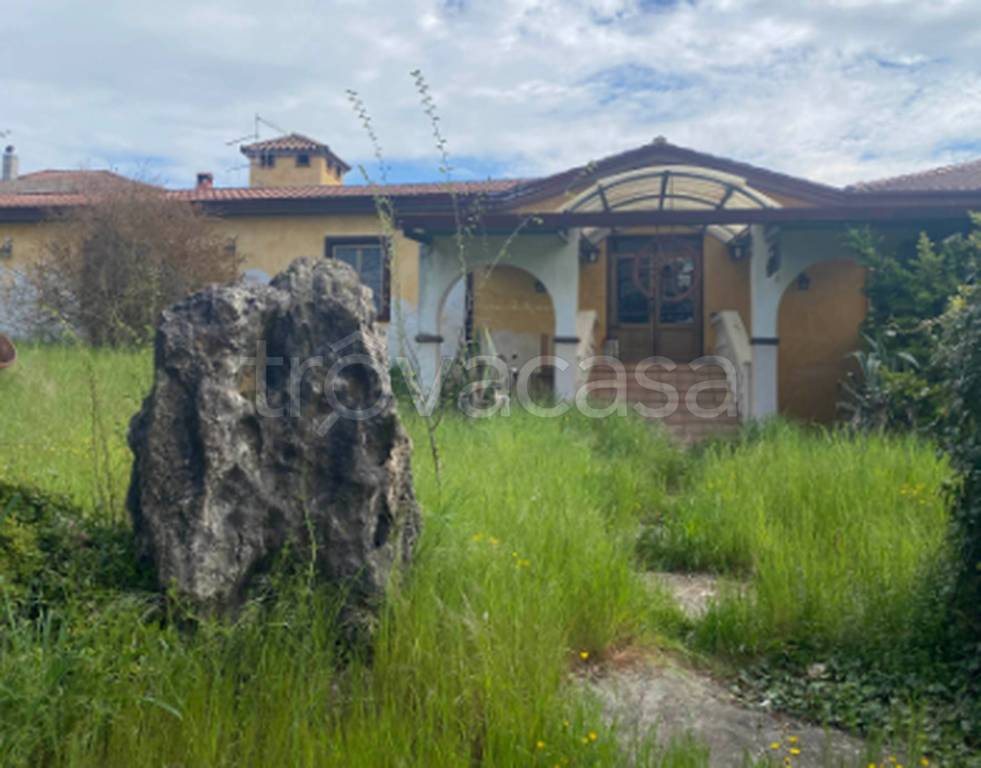 immagine annuncio 5 di 11