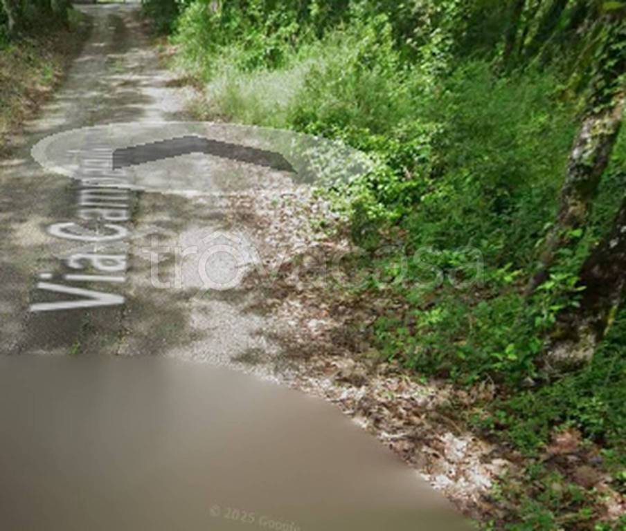 immagine annuncio 6 di 11