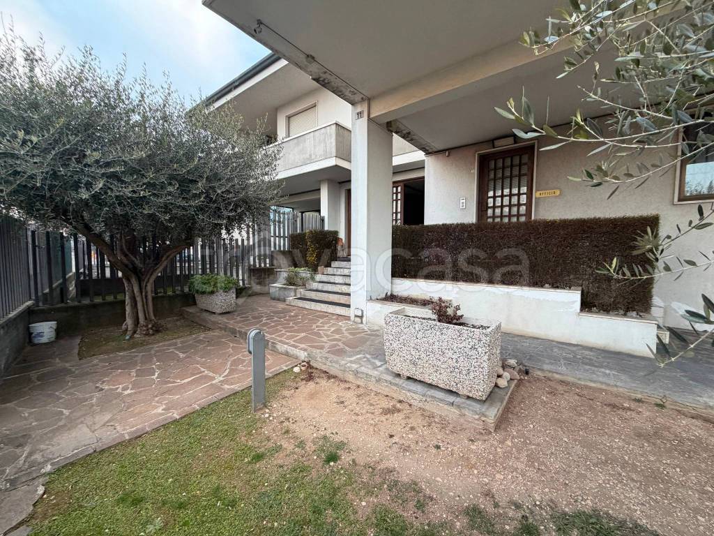 immagine annuncio 2 di 15