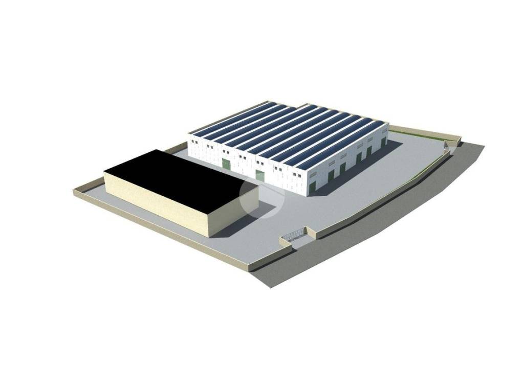 immagine annuncio 4 di 7