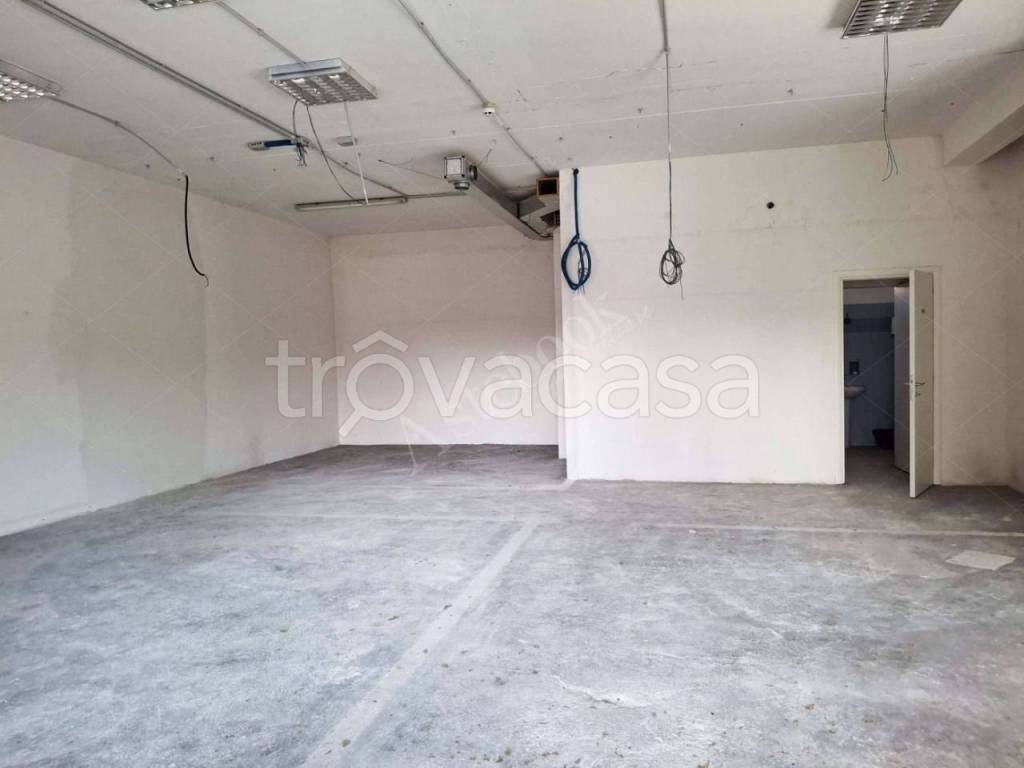 immagine annuncio 4 di 7