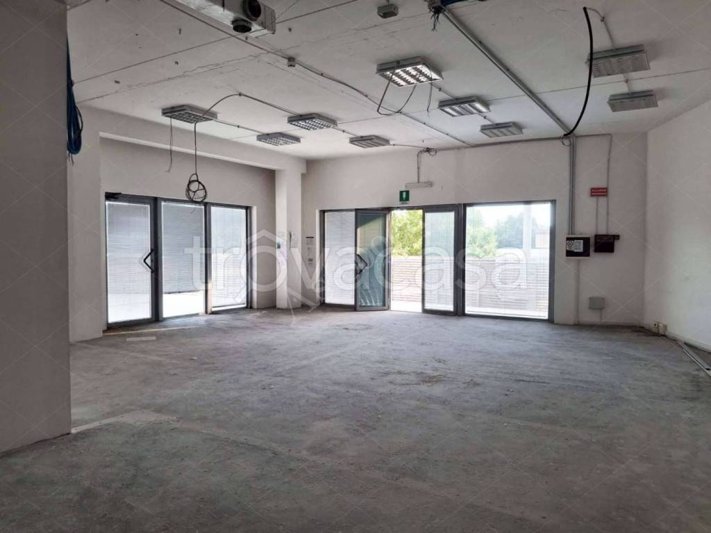 immagine annuncio 5 di 7