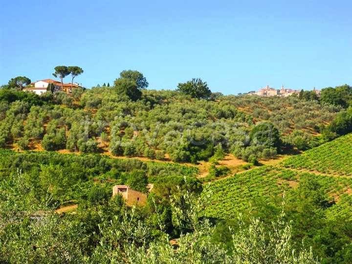 immagine annuncio 1 di 7