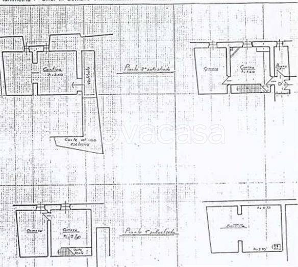 immagine annuncio 10 di 11