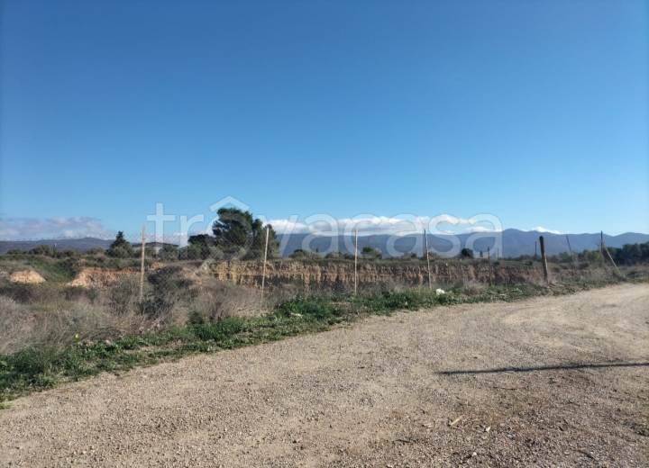 immagine annuncio 3 di 8