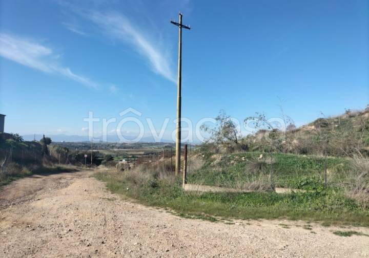 immagine annuncio 4 di 8