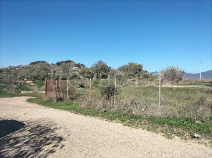 immagine annuncio 5 di 8