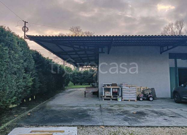 immagine annuncio 4 di 6