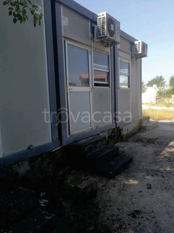 immagine annuncio 8 di 11