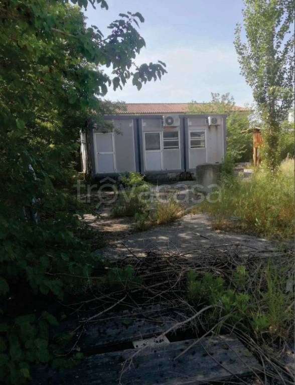 immagine annuncio 10 di 11