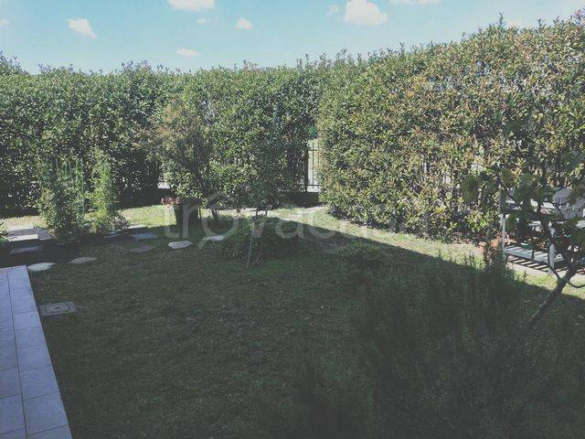 immagine annuncio 1 di 12